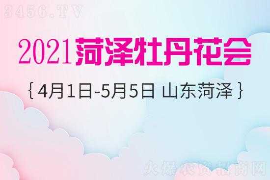 菏泽牡丹花会2020限行（21年菏泽牡丹园限行）