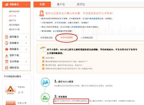 平安好车主在哪交罚单（平安好车主客服24小时电话）