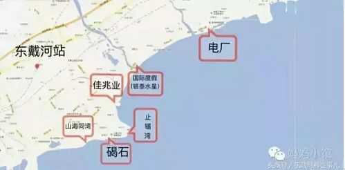 东戴河限行（东戴河限行区域图）