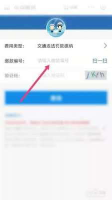 手机交不交违章罚单（手机上交不了违章罚款怎么办）