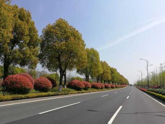 江阴峭花路高速路出口（江阴峭花路高速路出口电话号码）