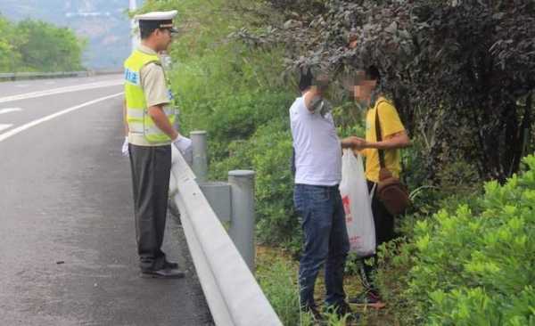 高速路违法停车摘水果吗（高速路上违法停车怎么处罚）