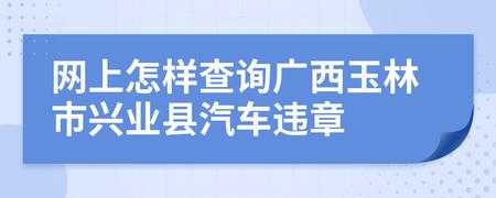 玉林交通违章查询（玉林交通违章查询官方网站）