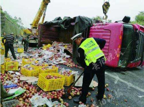 拉粮食高速路免费吗（高速路拉苹果免费吗）