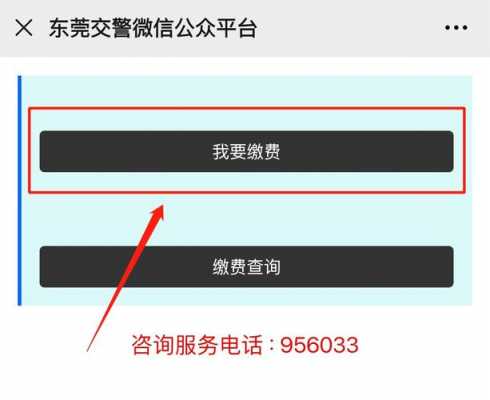 东莞交通违章网上缴费（东莞交通违章网上缴费怎么缴）