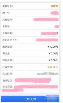 网上怎么交罚单没车牌（交罚款没单子怎么交）