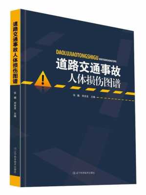 道路交通事故受伤人...（道路交通伤害发生后）