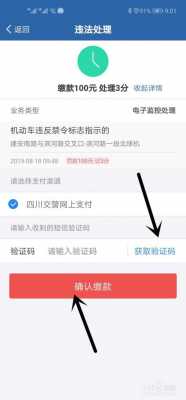 手机里面交罚单怎么交的（手机上交罚单怎么交）