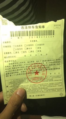 上海停车场罚单怎么交的（上海收费停车位贴罚单）