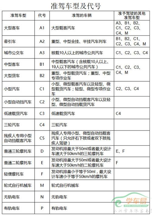 一开始能考什么驾照（一开始能考哪些驾照）