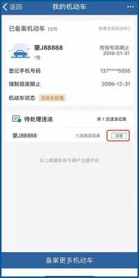 交管上不能交的罚单（罚款在交管12123不能交还能怎么交）