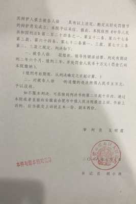 判决书丟了还能交罚单吗（判决书弄丢了可以再领吗）