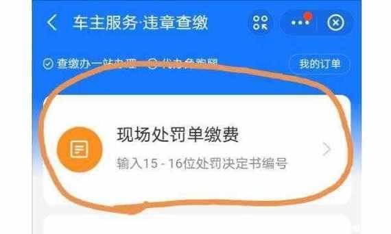 支付宝河北交罚单怎么交（河北开的罚单怎么网上交不了）