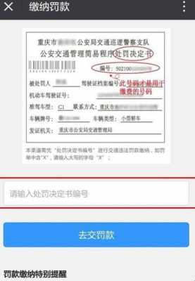 交警开的罚单用手机怎样交（交警大队开的罚款单在手机上怎么交）