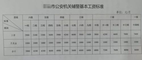 北京高速路辅警工资（北京高速路辅警工资多少）