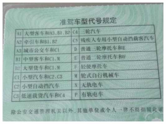 中国e级驾照（e级驾照是什么车）